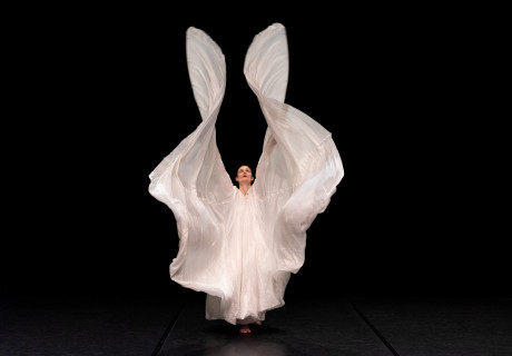 Steal you for a moment / Non human dances – Tanz im August Berlin – Francisco Camacho und Meg Stuart sowie Jérôme Bel und Estelle Zhong Mengual zwischen Prähistorie und Posthumanismus