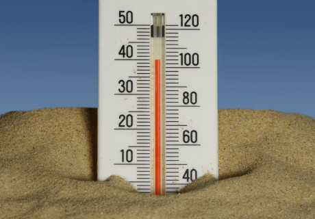 Klimaanpassung in Kultureinrichtungen – Interview zum aktuellen Klimaprojekt der Kulturstiftung des Bundes