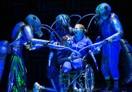 In Ewigkeit Ameisen –  Jan Bosse adaptiert zwei Hörspiele von Wolfram Lotz für das Burgtheater in Wien