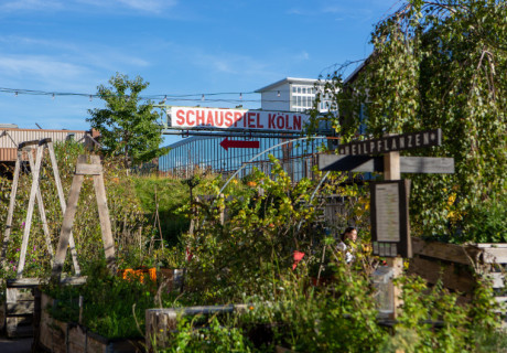 Interview zur Intendanzfindung am Schauspiel Köln