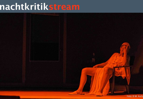 Nachtkritikstream – Antú Romero Nunes' Inszenierung 