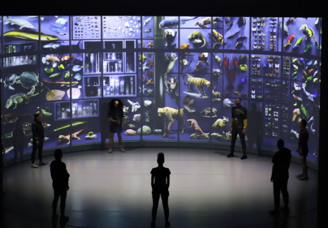 Still Life. A Chorus for Animals, People and all other Lives – Maxim Gorki Theater Berlin – Mit einem utopischen Abend eröffnet Marta Górnicka die Spielzeit