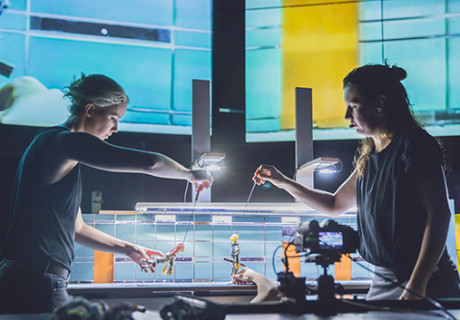 Fast Forward – Das Nachwuchsfestival wirft Schlaglichter auf die Arbeit junger europäischer Theatermacher*innen 