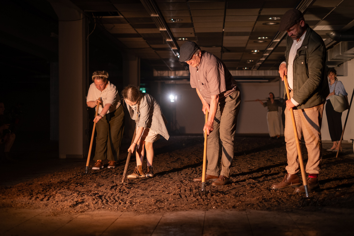 Schaf sehen Asphalt 3 CRalfPuder u