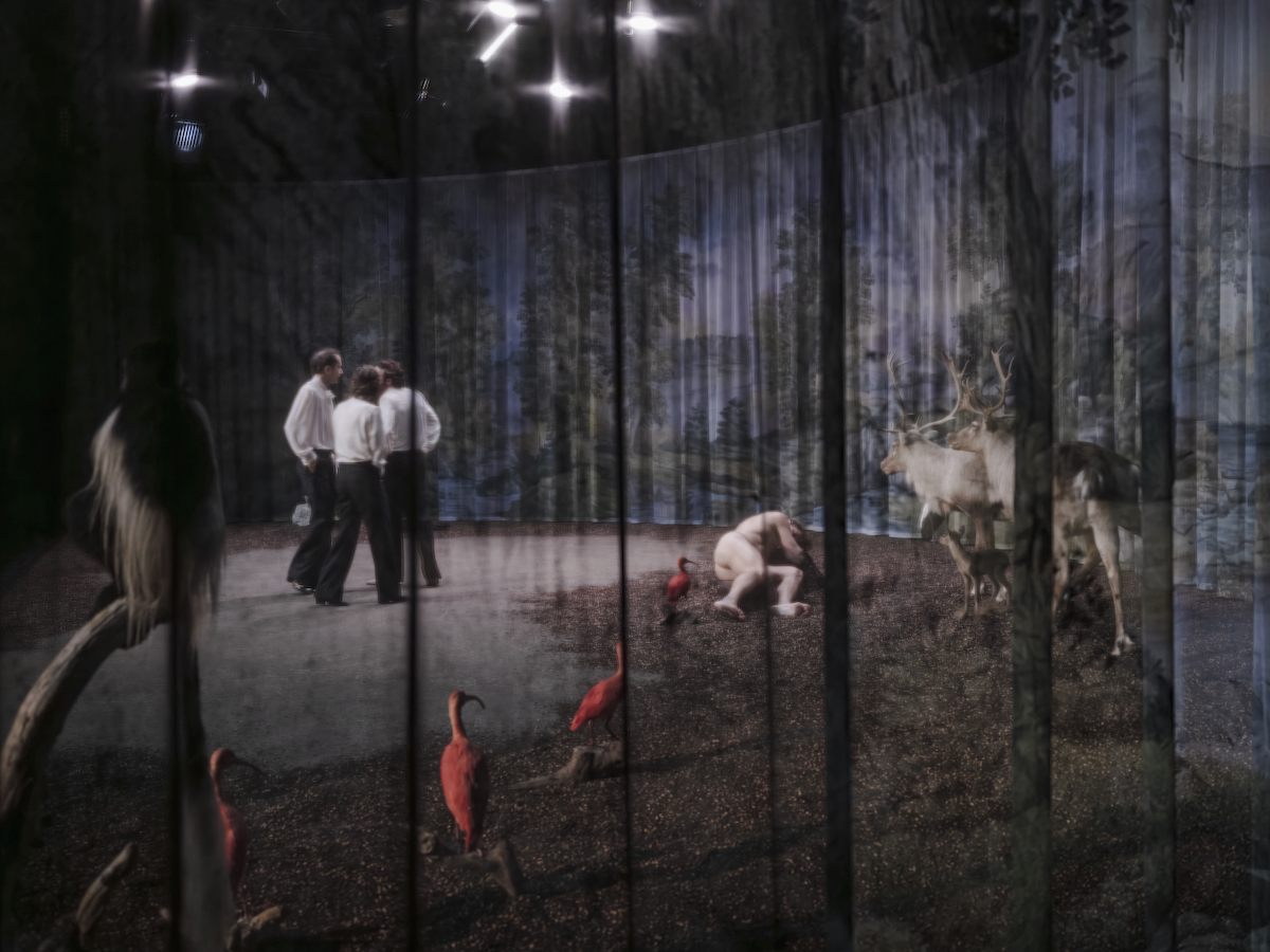 BB Meerjungraun Korber Kotikova Schutz LooslicFabian Stransky