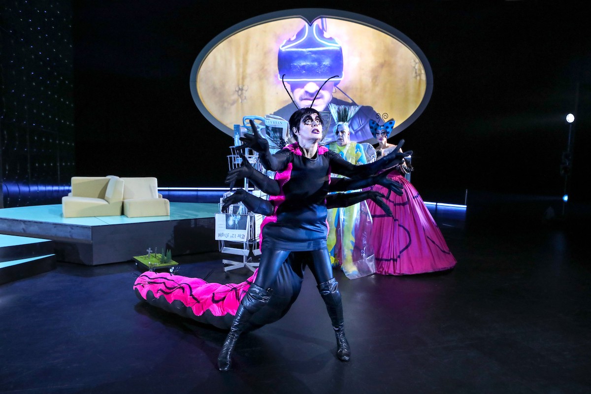 Was ihr wollt 1 CBirgit Hupfeld u