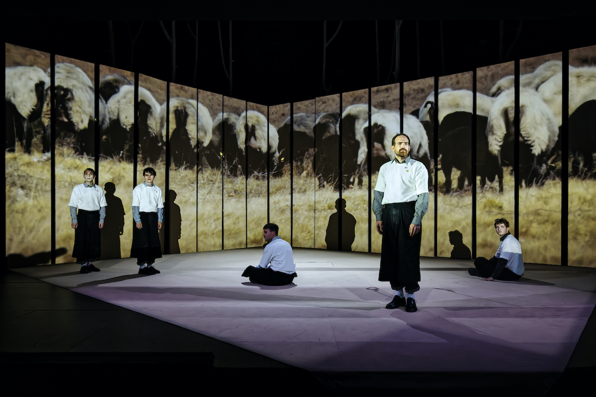 Schauspielhaus Magdeburg'VON NORDEN ROLLT EIN DONNER', von Markus Thielemann.  Regie Jan Friedrich, B&uuml;hne Jan Friedrich und Max Schwidlinski, Kost&uuml;m Vanessa Rust, Musik Friedrich Byusa Blam, VideoNico Parisius, Dramaturgie Bastian Lomsch&eacute;. Mit: Iris Albrecht, Anton Andreew, Nora Buzalka, Niklas Hummel, Philipp Kronenberg, Robert Lang-Vogel, Oktay &Ouml;nder, Laurids Sch&uuml;rmannPremiere am  20. 09..25