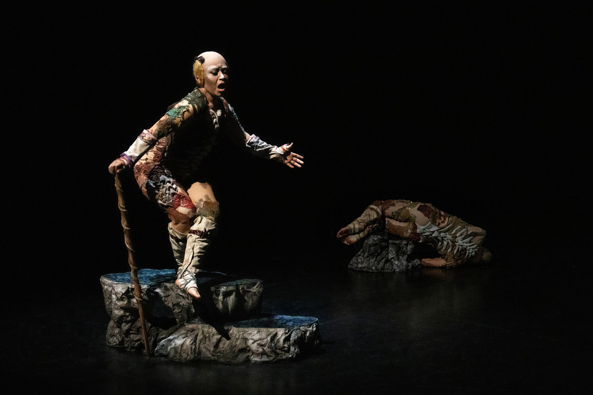 Ultimo Helecho 2 CNina Laisne u